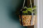 Leather | Basket Plant Hanger