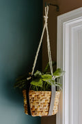 Leather Plant Hanger