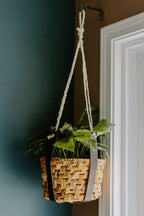 Leather Plant Hanger