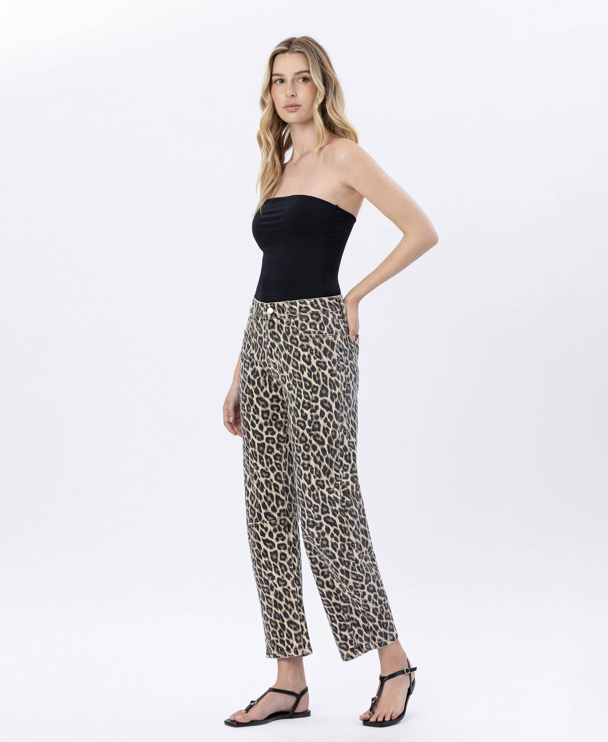 Vervet Leopard Barrels