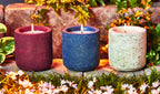 Citronella Candle