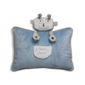 Tooth Fairy Pillow