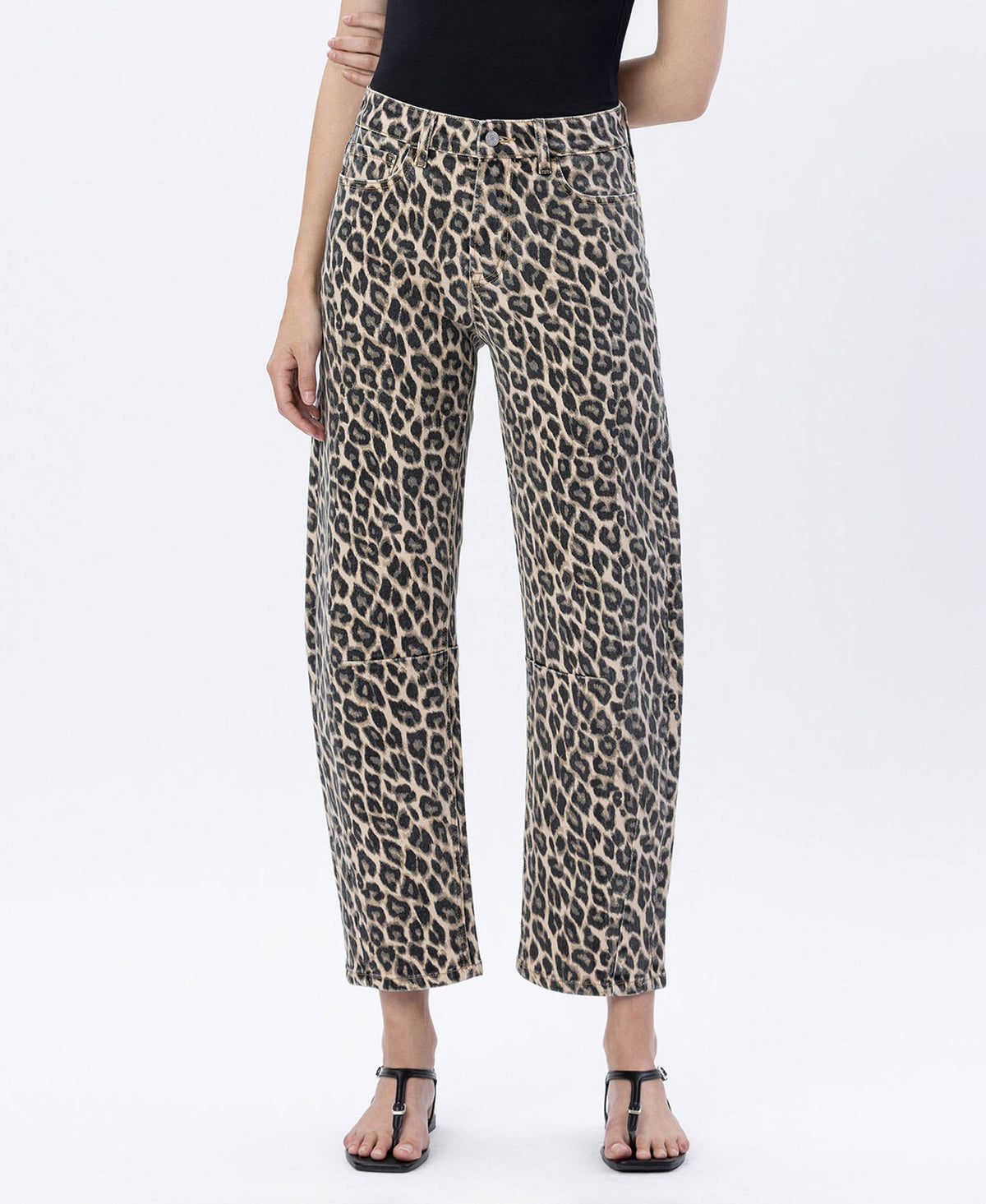 Vervet Leopard Barrels