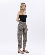 Vervet Leopard Barrels