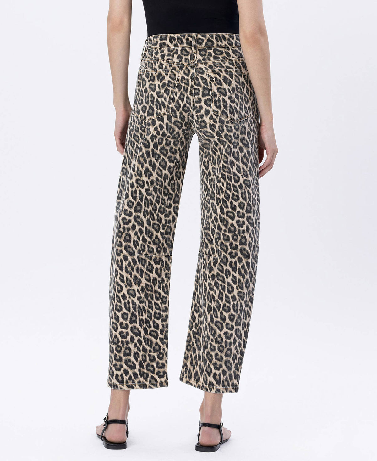 Vervet Leopard Barrels