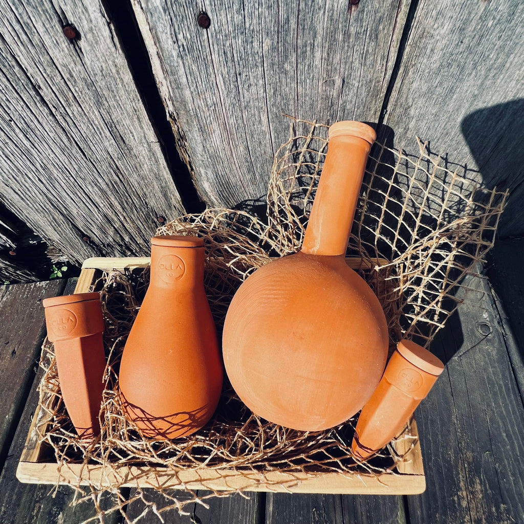 Olla