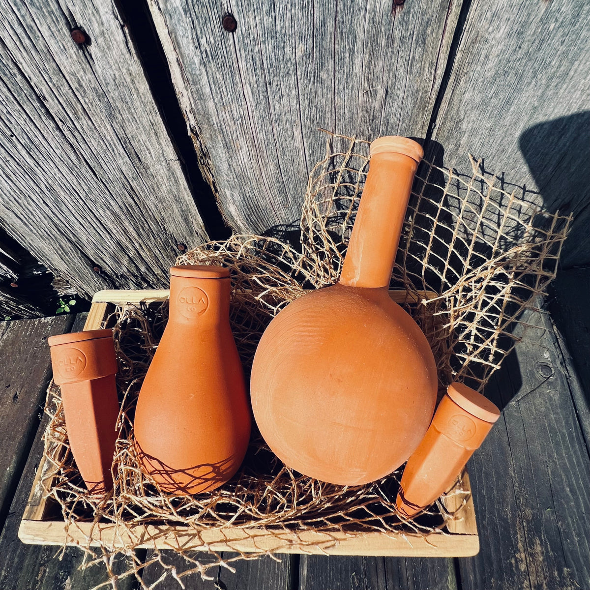 Olla
