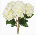 Hydrangea Bouquet