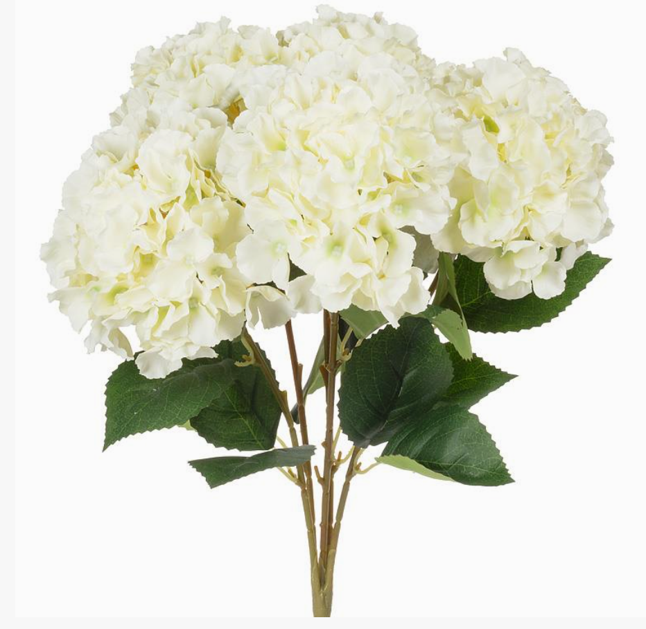 Hydrangea Bouquet