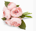Peony Bouquet