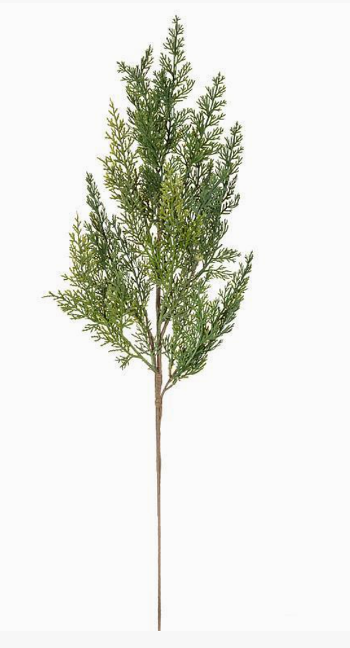 Cedar Spray