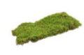 Moss Sheet
