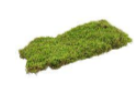 Moss Sheet