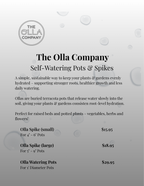 Olla