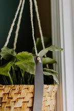 Leather Plant Hanger
