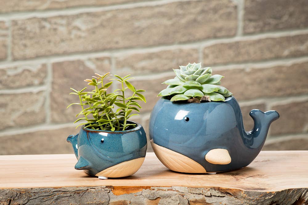 Lg Blue Whale Planter-3"H-878